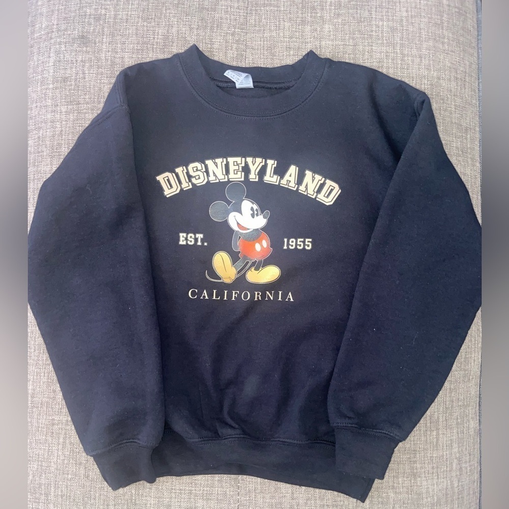 Kids custom made Disneyland sweater